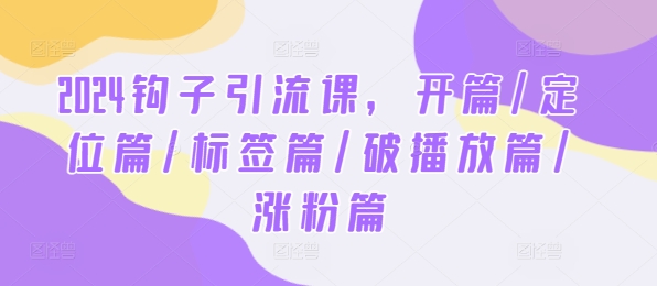 2024钩子引流课，开篇/定位篇/标签篇/破播放篇/涨粉篇-悟空聊项目