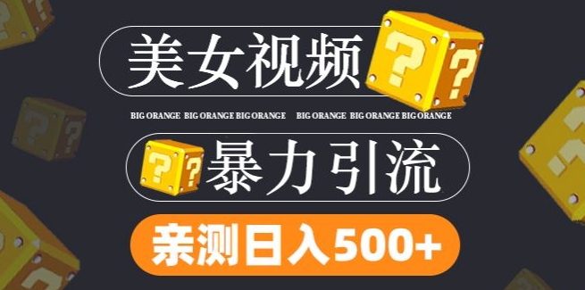 搬运tk美女视频全网分发，日引s粉300+，轻松变现，不限流量不封号-悟空聊项目
