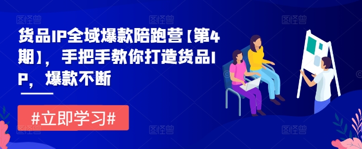 货品IP全域爆款陪跑营【第4期】，手把手教你打造货品IP，爆款不断-悟空聊项目