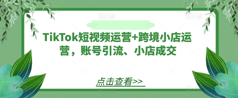 TikTok短视频运营+跨境小店运营，账号引流、小店成交-悟空聊项目