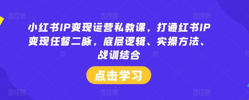 小红书IP变现运营私教课，打通红书IP变现任督二脉，底层逻辑、实操方法、战训结合-悟空聊项目