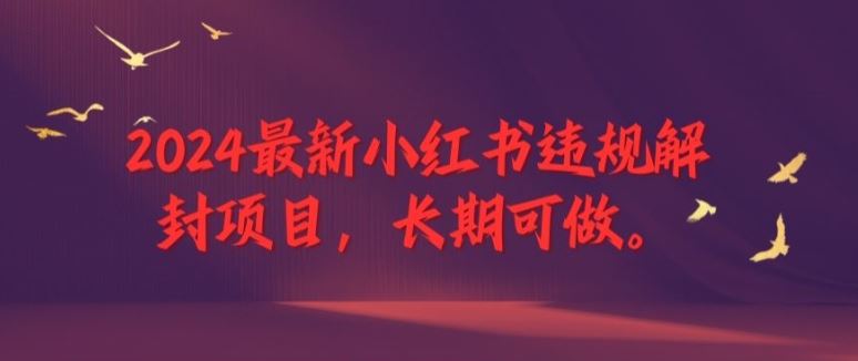 2024最新小红书违规解封项目，长期可做，一个可以做到退休的项目【揭秘】-悟空聊项目