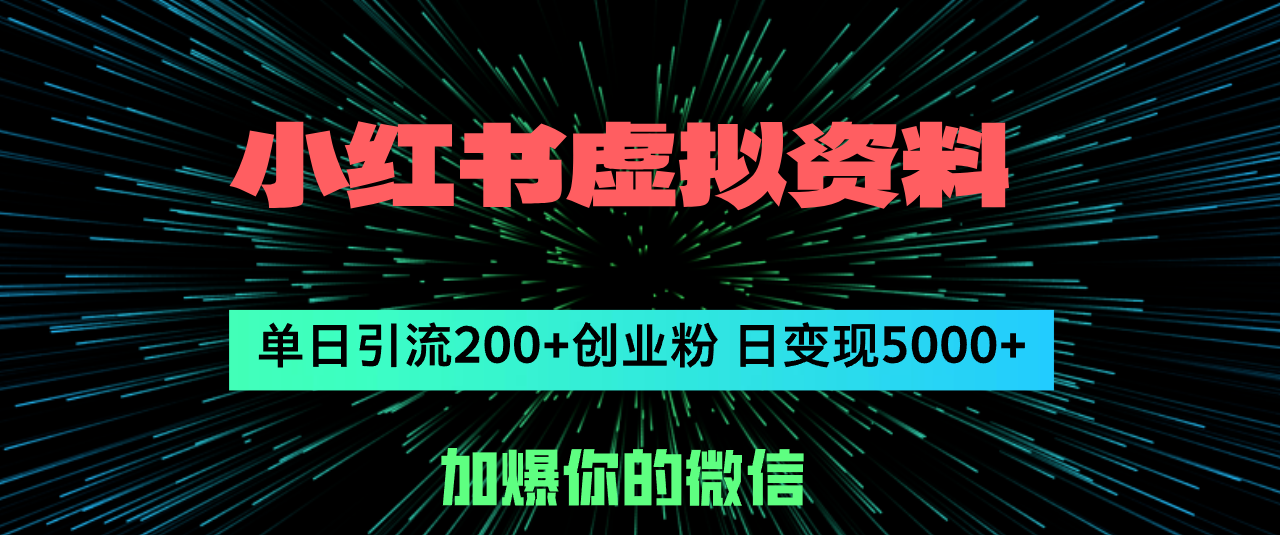 （12164期）小红书虚拟资料日引流200+创业粉，单日变现5000+-悟空聊项目