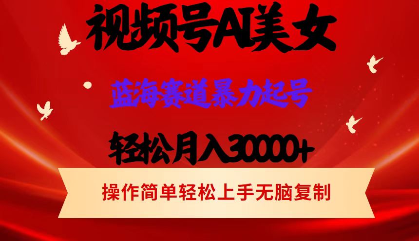 （12178期）视频号AI美女跳舞，轻松月入30000+，蓝海赛道，流量池巨大，起号猛，当…-悟空聊项目