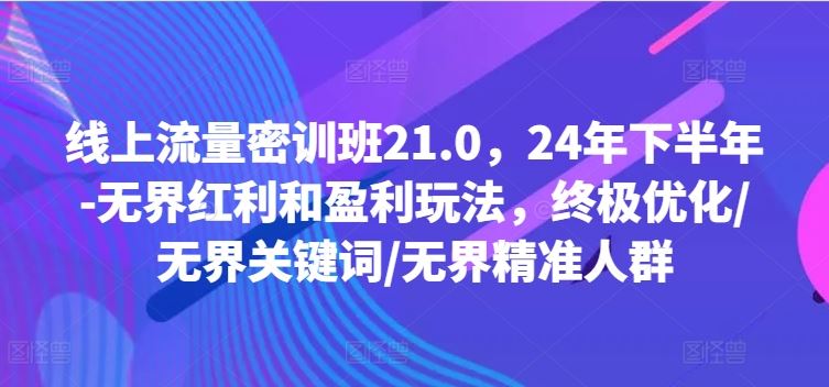 线上流量密训班21.0，24年下半年-无界红利和盈利玩法，终极优化/无界关键词/无界精准人群-悟空聊项目