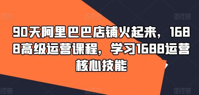 90天阿里巴巴店铺火起来，1688高级运营课程，学习1688运营核心技能-悟空聊项目
