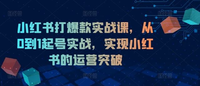 小红书打爆款实战课，从0到1起号实战，实现小红书的运营突破-悟空聊项目