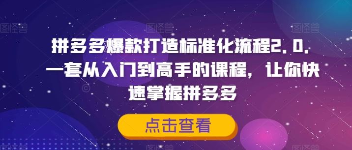 拼多多爆款打造标准化流程2.0，一套从入门到高手的课程，让你快速掌握拼多多-悟空聊项目