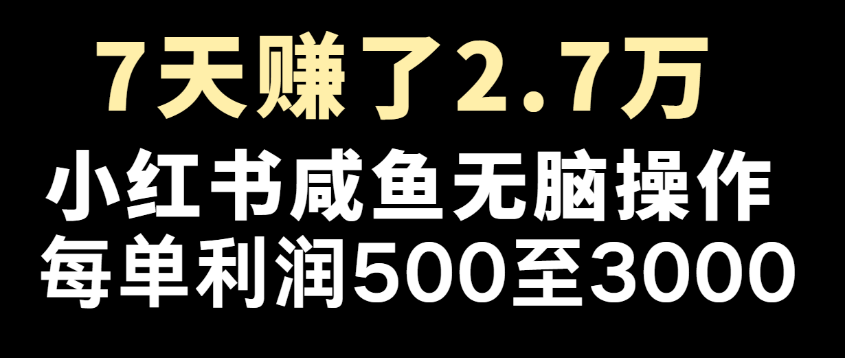 七天赚了2.7万！每单利润最少500+，轻松月入5万+小白有手就行-悟空聊项目