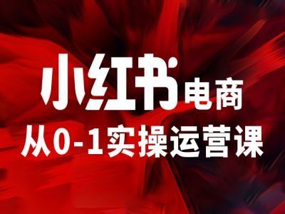 小红书电商从0-1实操运营课，让你从小白到精英-悟空聊项目