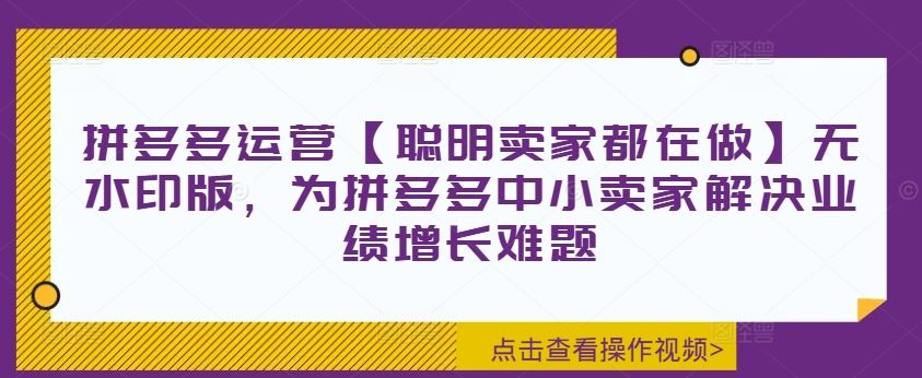 拼多多运营【聪明卖家都在做】无水印版，为拼多多中小卖家解决业绩增长难题-悟空聊项目