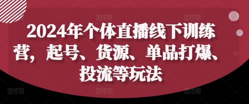 2024年个体直播训练营，起号、货源、单品打爆、投流等玩法-悟空聊项目