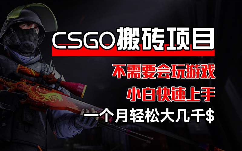 （12332期）CSGO 装备搬砖项目，操作简单，不需要会玩游戏，小白也能快速上手，一…-悟空聊项目