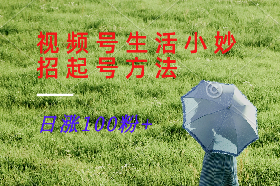 视频号生活小妙招分享赛道， 起号涨粉新方法，日涨100粉-悟空聊项目
