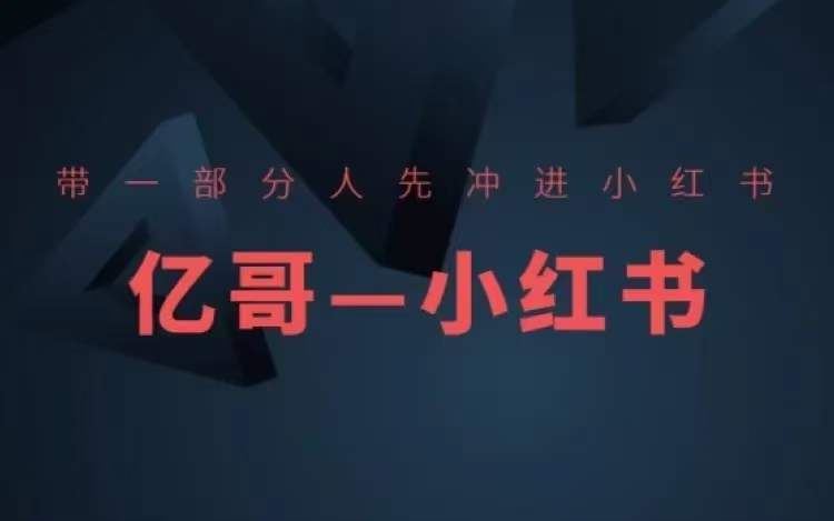 ​​带一部分人先冲进小红书，小红书开店、选品、爆款裂变-悟空聊项目