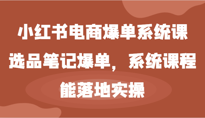 小红书电商爆单系统课-选品笔记爆单，系统课程，能落地实操-悟空聊项目