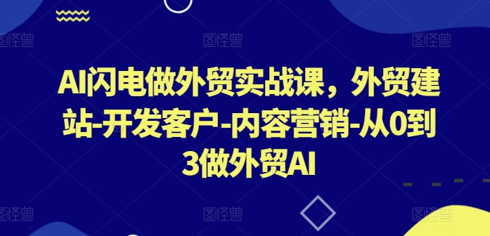 AI闪电做外贸实战课，​外贸建站-开发客户-内容营销-从0到3做外贸AI(更新)-悟空聊项目