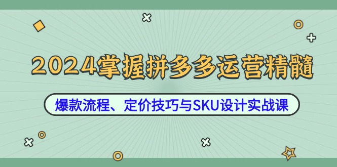 2024掌握拼多多运营精髓：爆款流程、定价技巧与SKU设计实战课-悟空聊项目