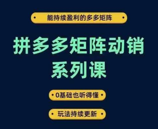 拼多多矩阵动销系列课，能持续盈利的多多矩阵，0基础也听得懂，玩法持续更新-悟空聊项目