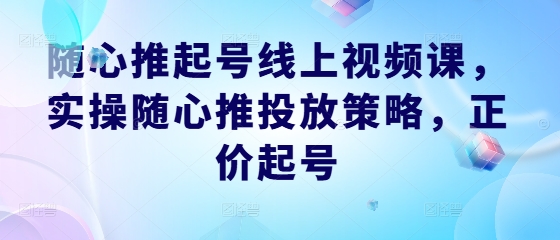 随心推起号线上视频课，实操随心推投放策略，正价起号-悟空聊项目