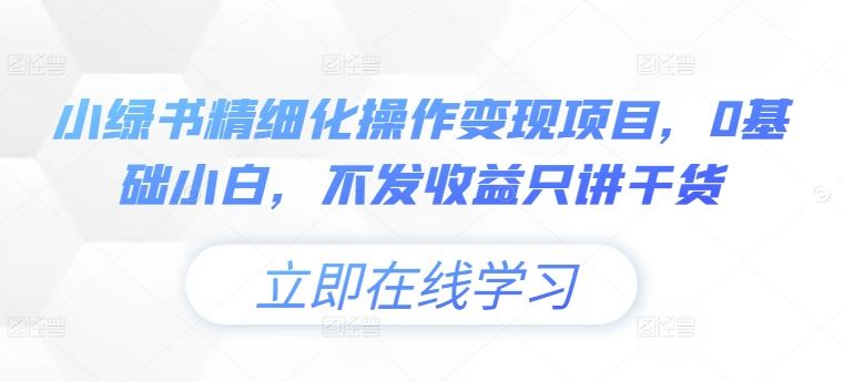 小绿书精细化操作变现项目，0基础小白，不发收益只讲干货-悟空聊项目