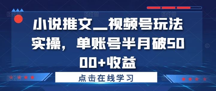 小说推文—视频号玩法实操，单账号半月破5000+收益-悟空聊项目