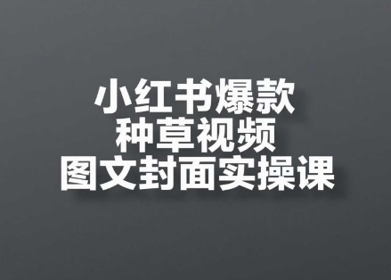 小红书爆款种草视频图文封面实操课，​开店、选品、引流、变现全流程-悟空聊项目
