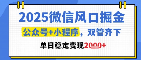 2025微信风口掘金，公众号+小程序双管齐下，单日稳定变现1k+【揭秘】-悟空聊项目