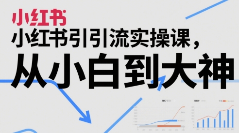 小红书引流实操课，从小白到大神-悟空聊项目