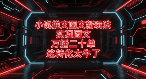 小说推文图文新玩法，实况图文，万播二十单，这转化太牛了！-悟空聊项目