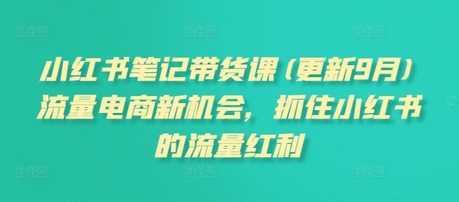 小红书笔记带货课(更新25年5月)流量电商新机会，抓住小红书的流量红利-悟空聊项目