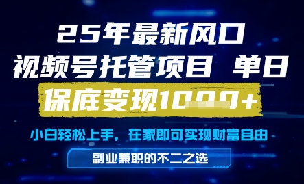 25年最新风口，视频号托管项目，单日保底变现1k+，手把手教学【揭秘】-悟空聊项目