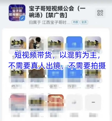 宝子哥头部团队短视频带货，以混剪为主，不需要真人出镜，不需要拍摄【更新】-悟空聊项目