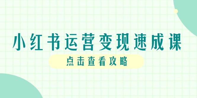 小红书运营变现速成课，账号搭建到暴力起号，个人IP全流程指南-悟空聊项目