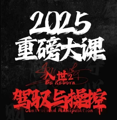 2025重磅大课，入世2，驾驭与控制-悟空聊项目