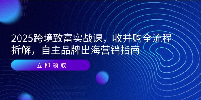 2025跨境致富实战课，收并购全流程拆解，自主品牌出海营销指南-悟空聊项目