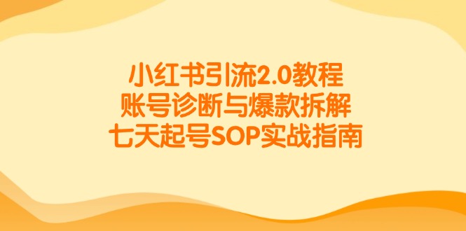 小红书引流2.0教程，账号诊断与爆款拆解，七天起号SOP实战指南-悟空聊项目