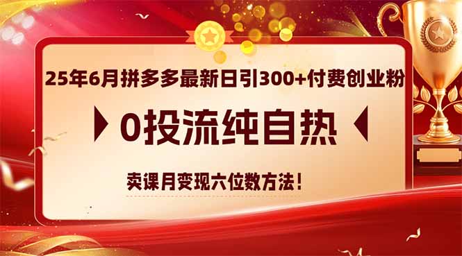 25年6月拼多多最新日引300+付费创业粉，0投流纯自热 卖课月变现六位数方法-悟空聊项目
