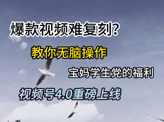 视频号4.0重磅上线，爆款视频难复刻？教你无脑操作宝妈学生党的福利【揭秘】-悟空聊项目