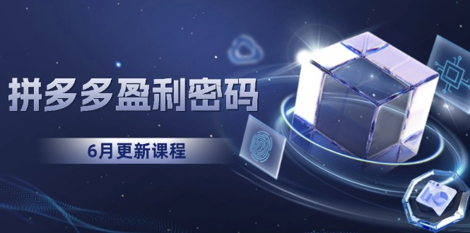 拼多多盈利密码：从烧钱推广到印钞模型，底层逻辑重构指南(6月更新-悟空聊项目