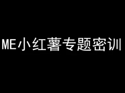 ME小红薯专题密训-小红书电商教程-悟空聊项目