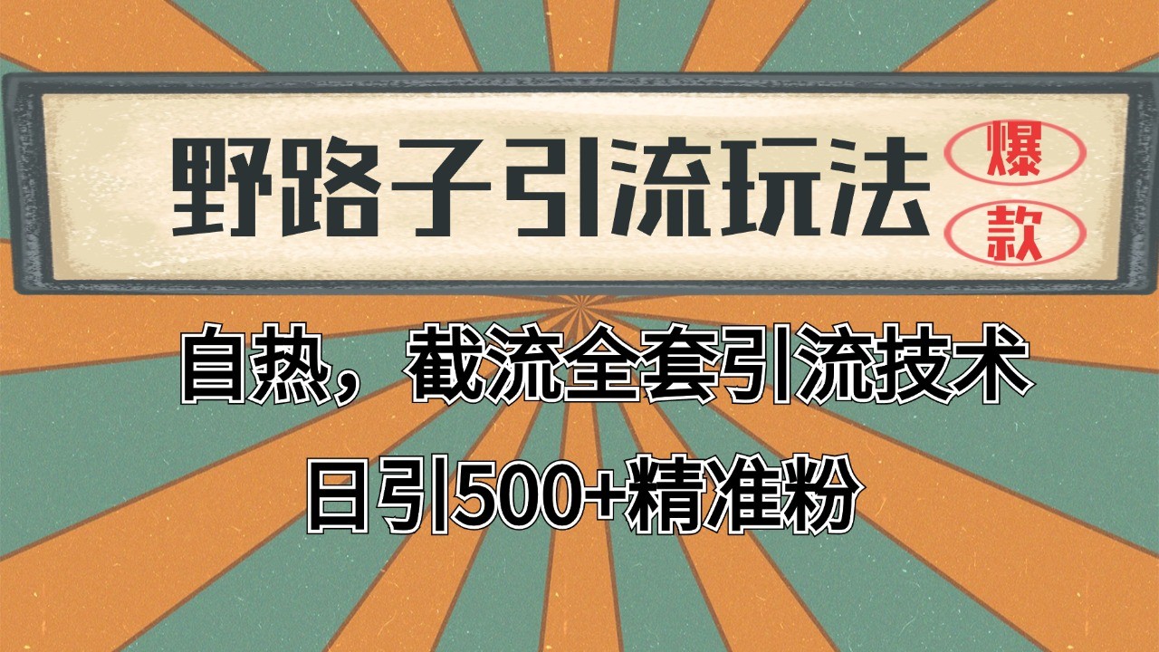 2024首发野路子引流玩法截流自热全平台打法，全自动引流【日引2000+精准客户】-悟空聊项目