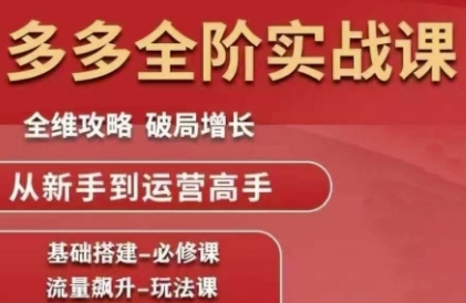 拼多多全阶实战课程，全维攻略，破局增长，从新手到运营高手-悟空聊项目