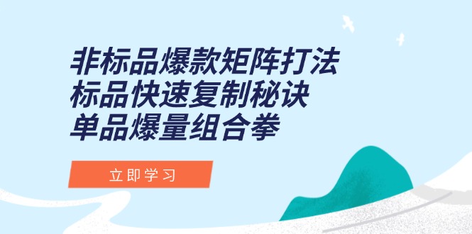 非标品爆款矩阵打法，标品快速复制秘诀，单品爆量组合拳-悟空聊项目