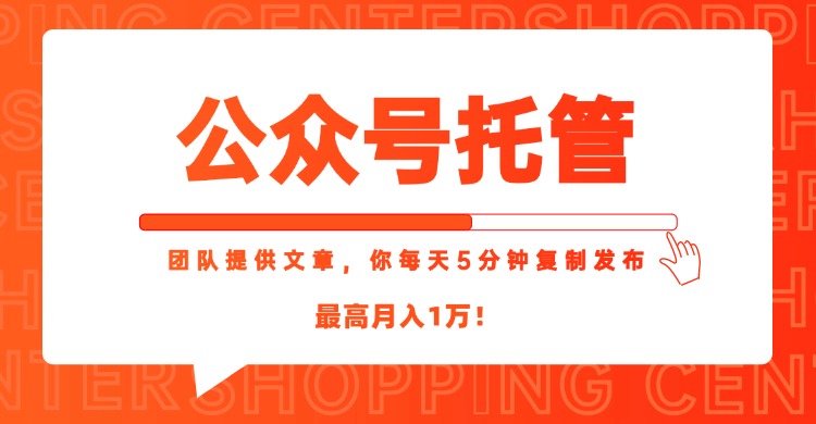 【公众号托管 】我提供文章，你每天５分钟复制发布，最高月入1W-悟空聊项目