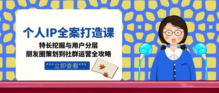 个人IP全案打造课，特长挖掘与用户分层，朋友圈策划到社群运营全攻略-悟空聊项目