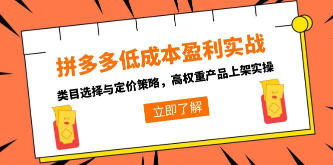 拼多多低成本盈利实战，类目选择与定价策略，高权重产品上架实操-悟空聊项目
