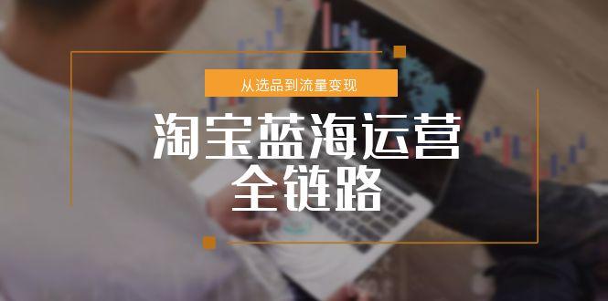 淘宝蓝海运营全链路，从选品到流量变现，小类目突围完整方案-悟空聊项目