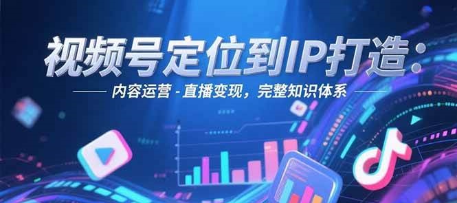 视频号定位到IP打造：账号搭建-内容运营-直播变现，完整知识体系-悟空聊项目