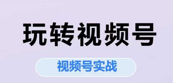 玩转视频号，视频号实战系列课-悟空聊项目